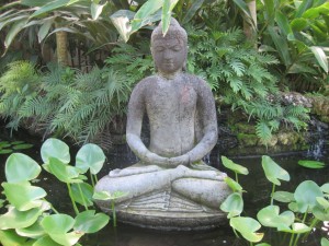 buddha lotus