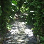 camino-con-piedras