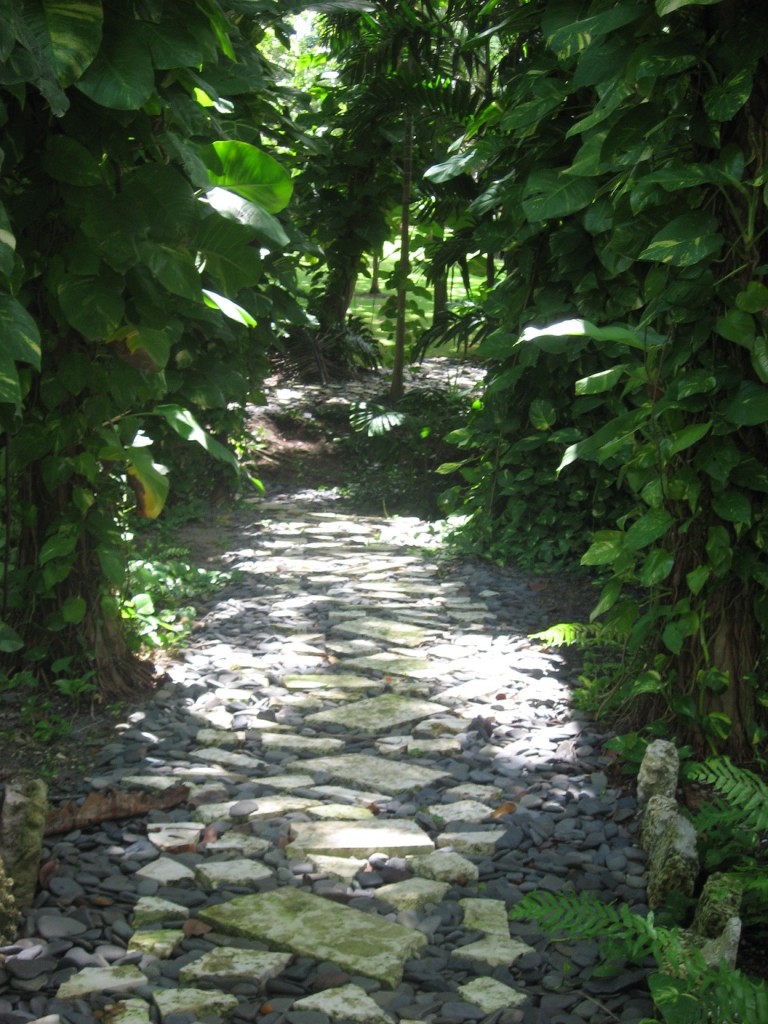 camino-con-piedras