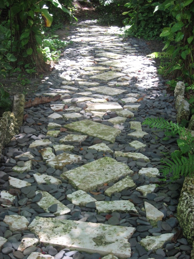 Camino Camino