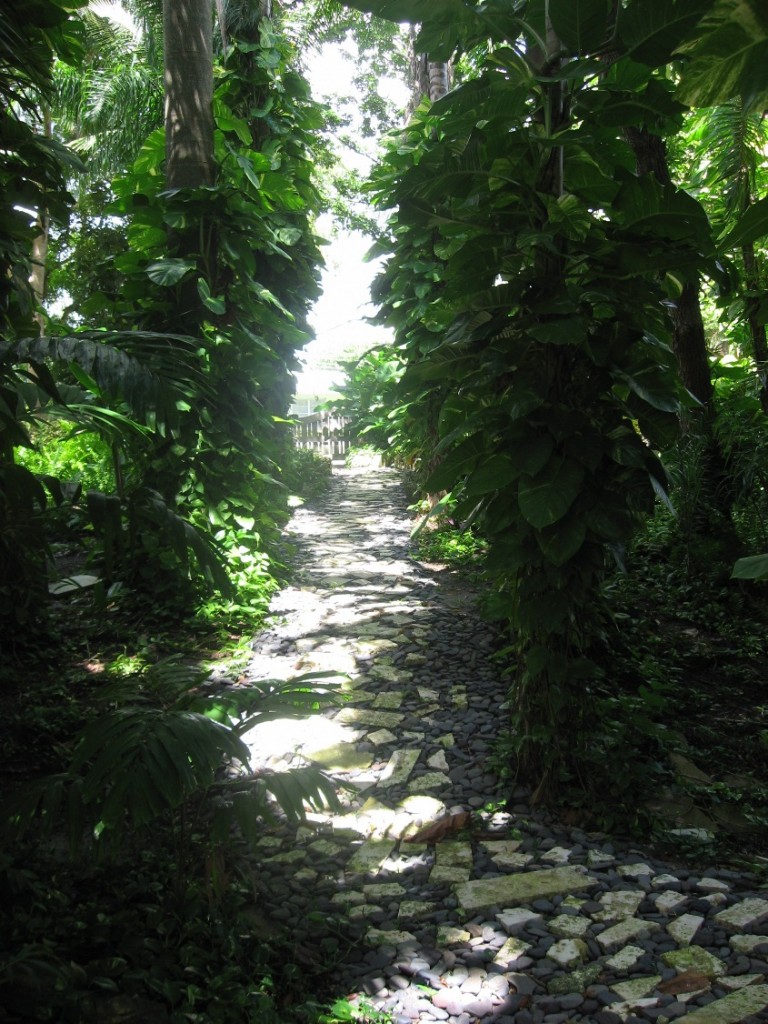 pathway-with-rocks