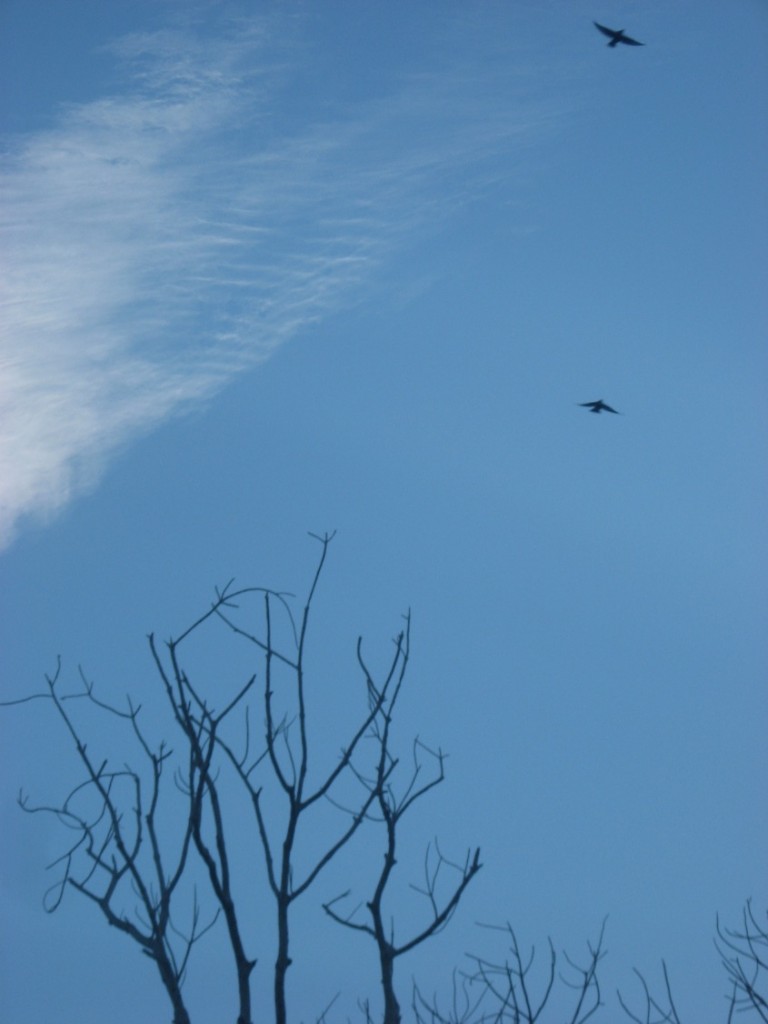 cielo-azul