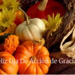 Acción- de-Gracias 